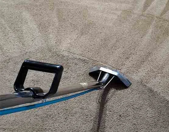 Templestowe carpet cleaning experts: effectively restoring freshness by removing dirt, allergens, and other contaminants from carpets